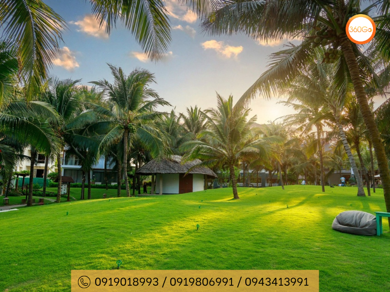 Lựa chọn thời điểm phù hợp để tránh mưa bảo - Du lịch 360Go 